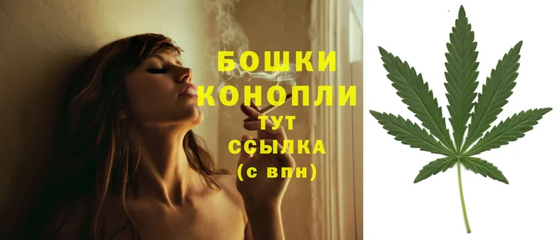 кракен онион  Джанкой  Шишки марихуана OG Kush 